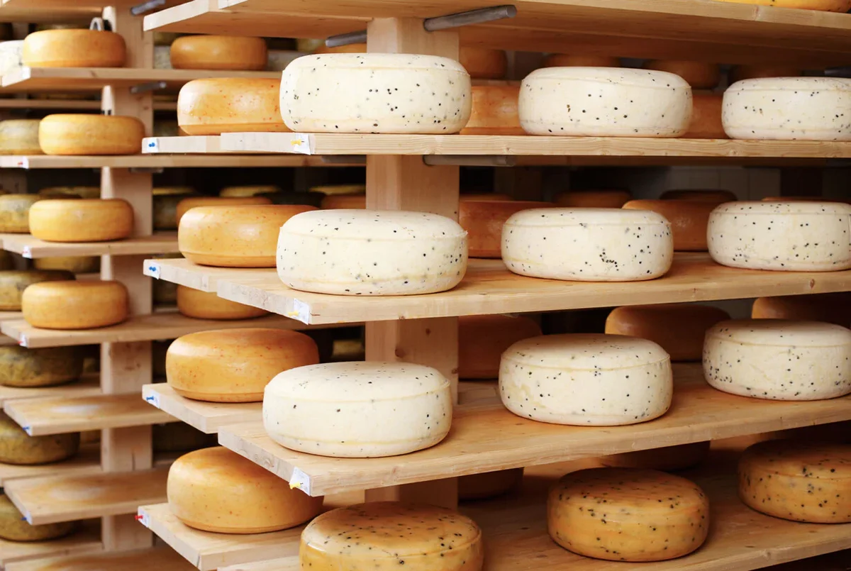 h_t_use-case-business-with-cheese-1230x825